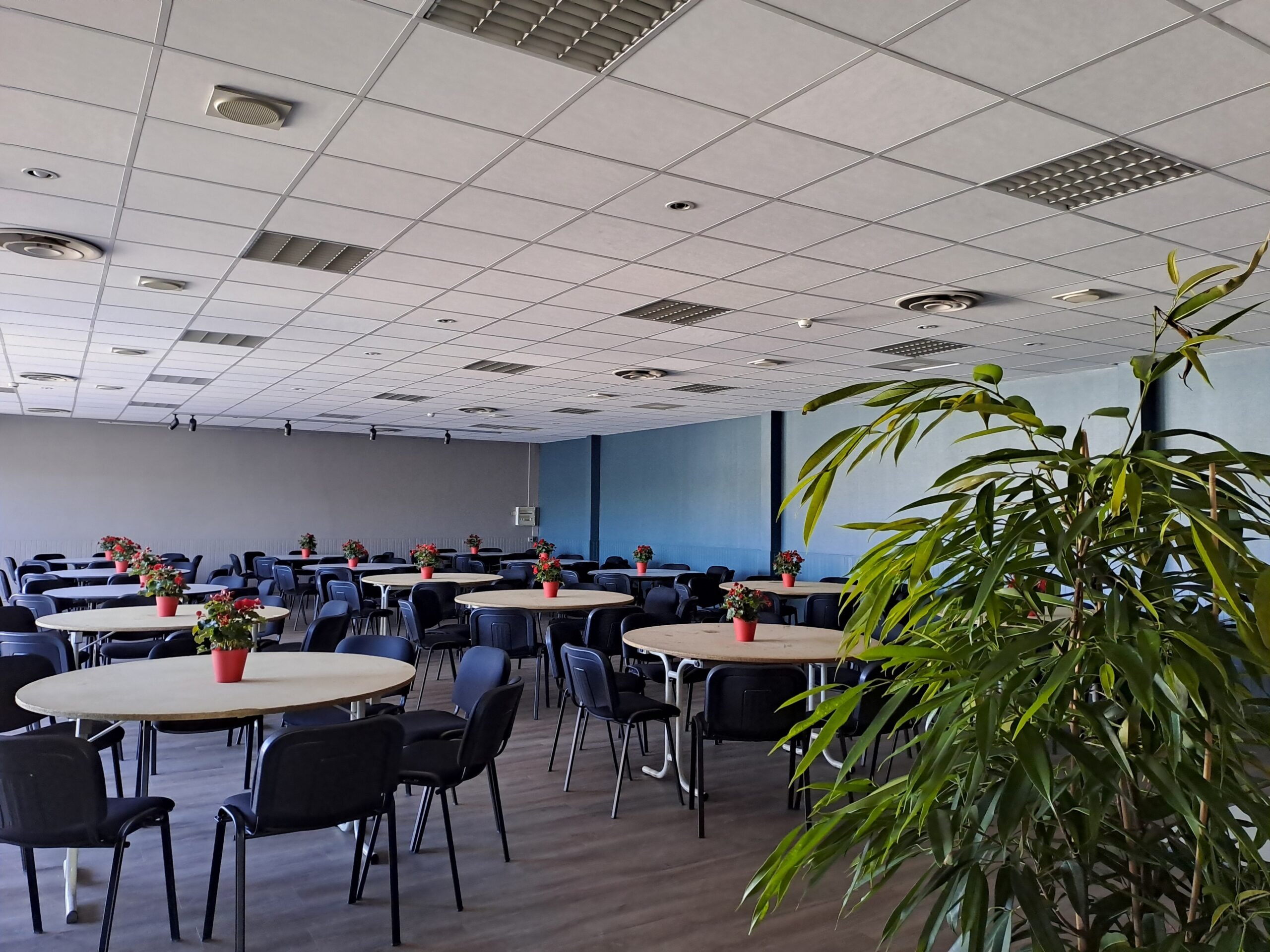 salle de congres - restaurant 1